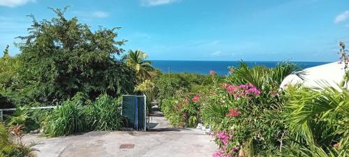 a garden with flowers and the ocean in the background at Soleil couchant in Bouillante