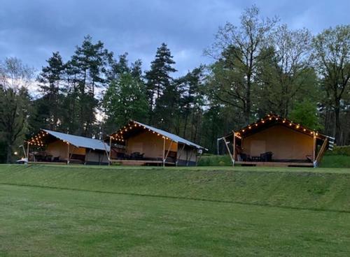 ein paar Zelte auf einer Wiese mit Bäumen in der Unterkunft Camping Sonnenberg in Faßberg