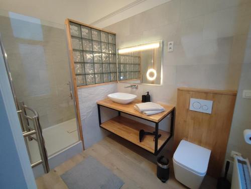 bagno con lavandino e servizi igienici di Le Liégeois - proche centre - Maison de maître a Liegi