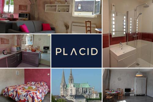 a collage of photos of a hotel room with a bed at Studio La Tan'Eure in Chartres