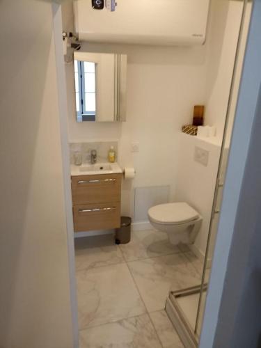 une petite salle de bain avec toilettes et lavabo dans l'établissement Yukos-Studio Cosy-(Hypercentre), à Rennes