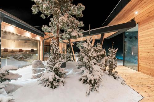 a room with snow covered trees in a house at Hotel Majon Miramonti in Canazei