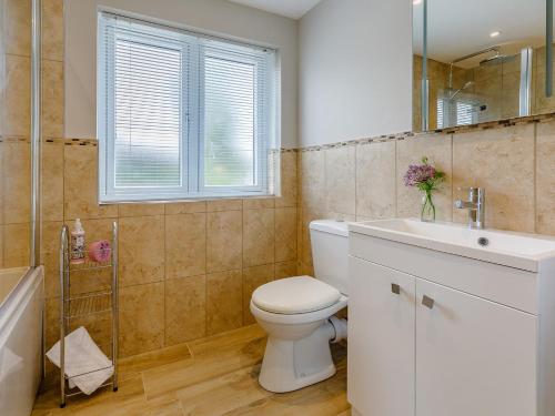 a bathroom with a toilet and a sink and a mirror at 1 Bed in Presteigne 78351 in Kinsham