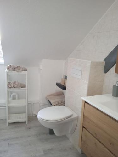 une salle de bain blanche avec des toilettes et un lavabo dans l'établissement La Mulhousienne F3 Centre ville, à Mulhouse