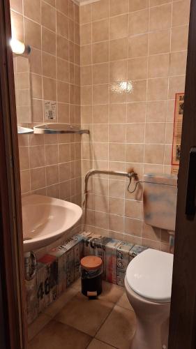 a bathroom with a toilet and a sink at Apollo Pension und Saalvermietung 