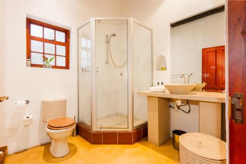 a bathroom with a shower and a toilet and a sink at Nabygelegen Gate house in Bainʼs Kloof