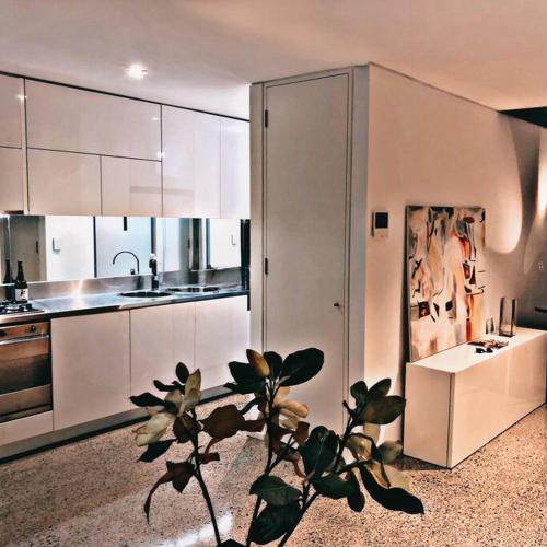 a kitchen with white cabinets and a plant in the foreground at WAREHOUSE! RARE!! NEW ARCHITECTURALLY DESIGNED MASTERPIECE!! BEST LOCAT! MASSIVE! PRIVATE ROOFTOP GARDEN w PANORAMIC CITY VIEWS!!! (B1-51-ImpAbb) in Sydney