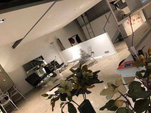 a living room with a plant in the middle at WAREHOUSE! RARE!! NEW ARCHITECTURALLY DESIGNED MASTERPIECE!! BEST LOCAT! MASSIVE! PRIVATE ROOFTOP GARDEN w PANORAMIC CITY VIEWS!!! (B1-51-ImpAbb) in Sydney