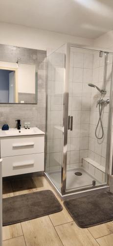 W łazience znajduje się prysznic i umywalka. w obiekcie La Villa de l Embusade w mieście Pont-à-Mousson