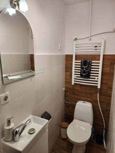Un baño con un inodoro blanco y un lavabo. en Pokoje u Julii 2 Bedroom Premium Apartment, en Rzeszów
