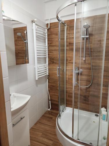 bagno con doccia e lavandino di Przytulne, nowoczesne mieszkanie 2 Br a Rzeszów