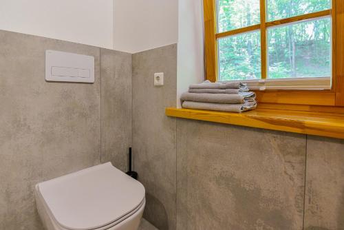 a bathroom with a toilet and a window and towels at Apartamentai Gėlių Vila in Nida
