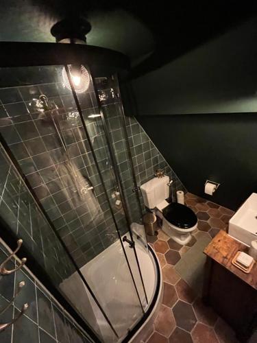 uma casa de banho com um chuveiro e um WC. em Attic Monkeys Lodge em Amesterdão