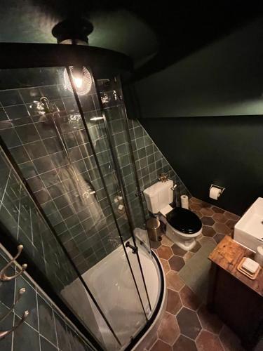 a bathroom with a shower and a toilet at Attic Monkeys Lodge in Amsterdam