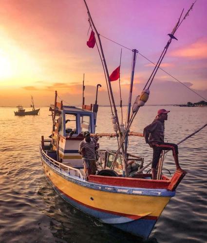 Landskap semula jadi dekat dengan rumah tamu ini