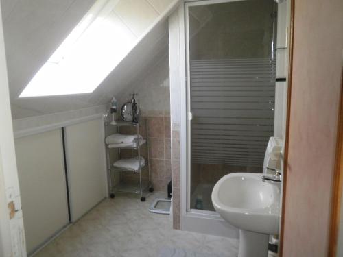 baño con lavabo y tragaluz en 2 Chambres chez l habitant, en Parigné-lʼÉvêque
