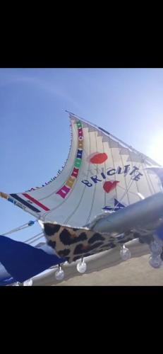 a tail of an airplane with a cow pattern on it at Felucca SUNSHINE in Luxor