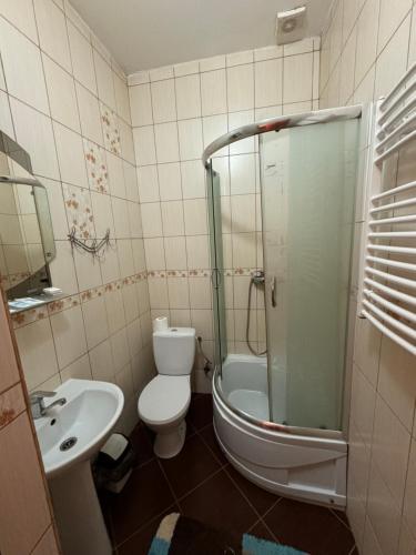 a bathroom with a shower and a toilet and a sink at Лаціо in Berehove