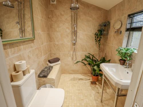 a bathroom with a shower and a toilet and a sink at Castle Cottage in Lincoln