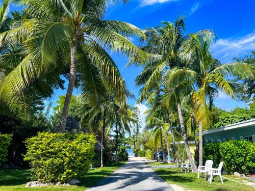 a road lined with palm trees in front of a building at Sunset Cove Beach Resort in Key Largo