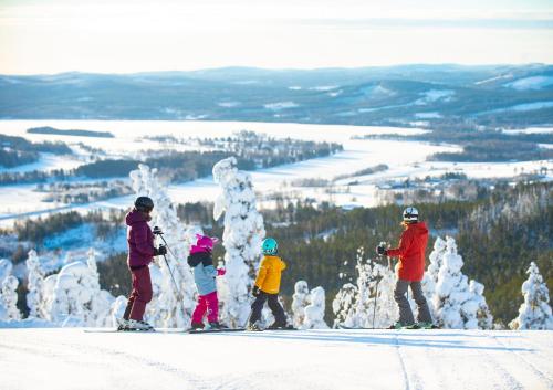 un grupo de personas de pie sobre una pista de esquí en Fin lägenhet med bastu i Järvsö!, en Järvsö