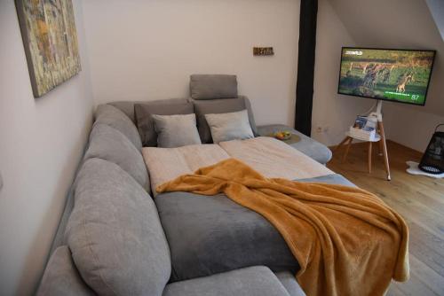 a large gray couch in a room with a tv at Penthouse mit Altstadtflair in Graz