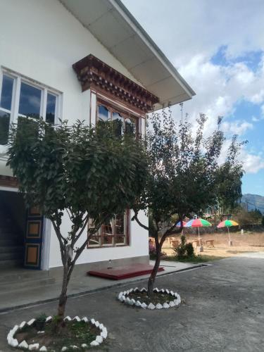 two trees in front of a building with umbrellas at Zomsa home garden lounge in Paro