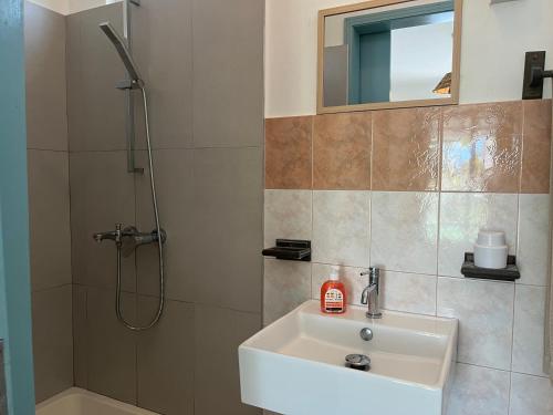 a bathroom with a sink and a shower at Oasis de Paix près de la plage in Flic-en-Flac