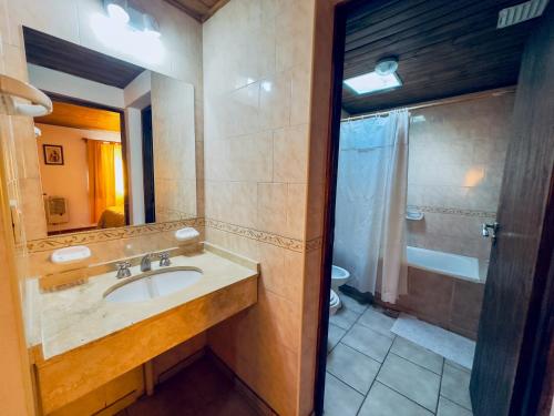 a bathroom with a sink and a shower at Apartment Al Sur in Malargüe