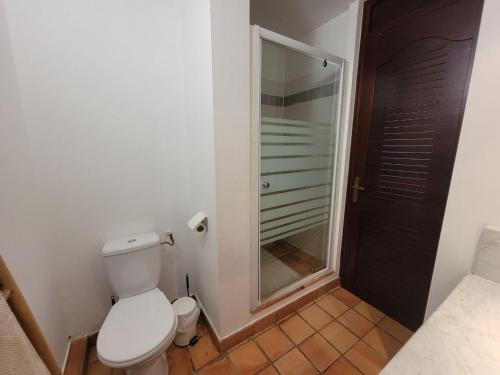 uma casa de banho com um WC e uma cabina de duche ao nível do chão em Studio climatisé dans Résidence avec piscine, à proximité de la mer em La Trinité