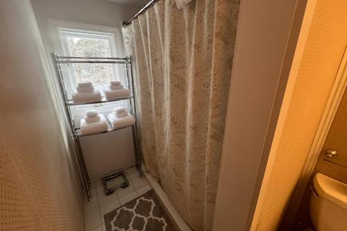 a bathroom with a shower with a shower curtain at Buzz's Place in Barnumville