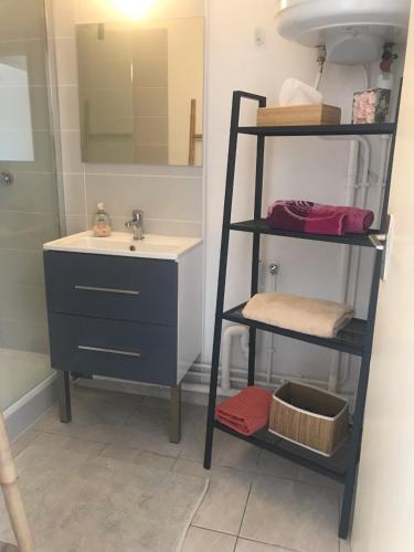 La salle de bains est pourvue d'un lavabo et d'une étagère à côté d'un lavabo. dans l'établissement Le Ciel Bleu, à La Seyne-sur-Mer