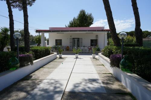 a walkway in front of a house with plants at Casina Anna Maria in Francavilla Fontana