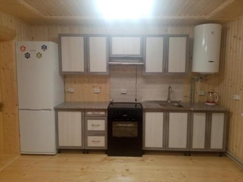 eine kleine Küche mit Kühlschrank und Spüle in der Unterkunft Смерека in Mykulytschyn