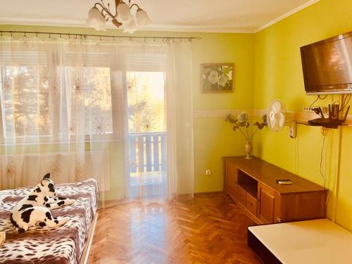 - un salon avec un canapé et une fenêtre dans l'établissement Sunny & Green, à Hévíz