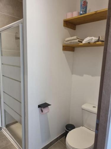Elle comprend une petite salle de bains pourvue de toilettes et d'une étagère. dans l'établissement Gîte de la tourterelle, à Saint-Florent-sur-Auzonnet