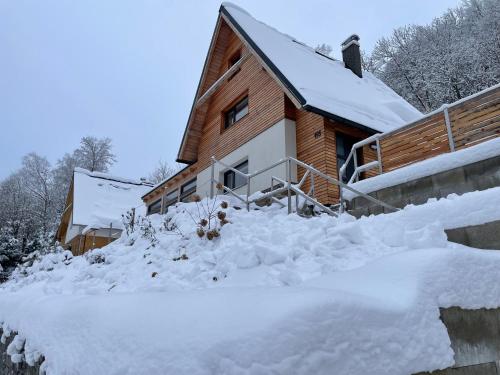 a house covered in snow in front of it at Jirotovy boudy I in Telnice