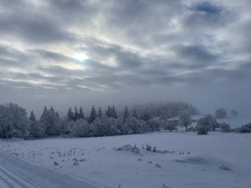 a field covered in snow with trees and the sky at Jirotovy boudy I in Telnice