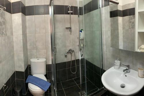 a bathroom with a shower and a toilet and a sink at ΔΙΧΩΡΟ ΔΙΑΜΕΡΙΣΜΑ ΣΤΗΝ ΚΑΣΤΟΡΙΑ in Kastoria