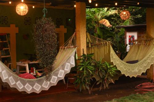 zwei Hängematten hängen in einem Zimmer mit Pflanzen in der Unterkunft Hostal Casa Mauro in Moyogalpa