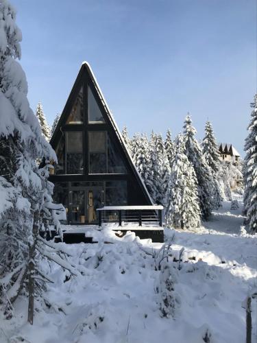 uma cabana na floresta na neve em Black Chalet em Vartop
