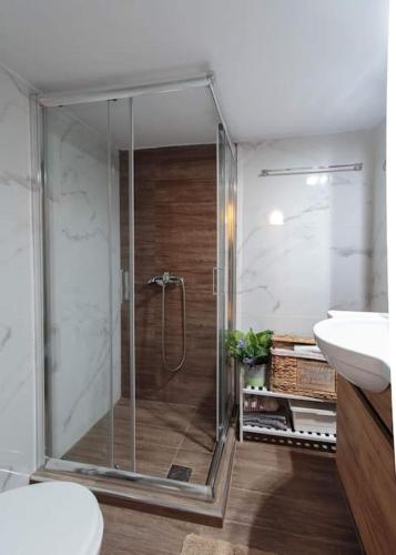 Irida Equanimity and Cozy Apartment
