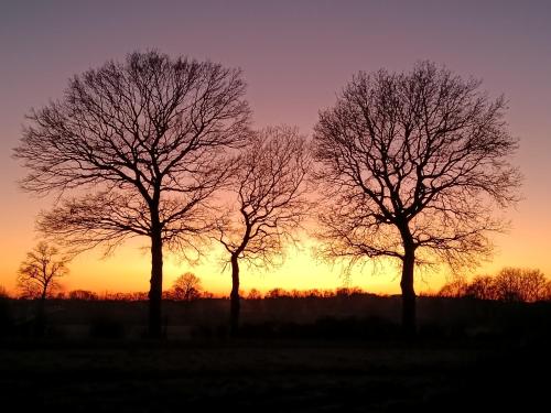 Billede fra billedgalleriet på Ame O des Flandres La Villa i Boeschèpe