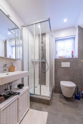 a bathroom with a shower and a toilet and a sink at Ferienwohnung Haus Sonnenschein in Grundlsee