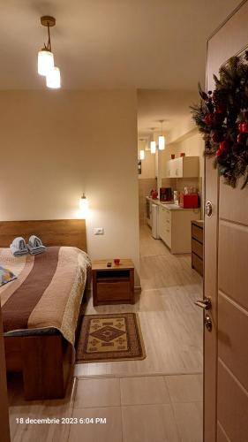 a bedroom with a bed and a kitchen at Ski & Bike Residence in Poiana Brasov
