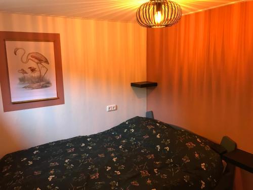 een slaapkamer met een bed en een oranje gordijn bij De Tip 31 Tiny Chalet in Zeeland