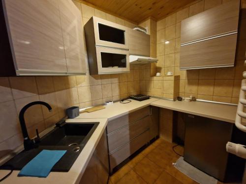 a small kitchen with a sink and a microwave at Arkadia in Muszyna