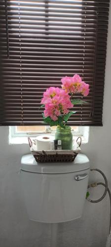 un vase de fleurs roses assis au-dessus des toilettes dans l'établissement Sable Sunset Guesthouse, à Trichardt