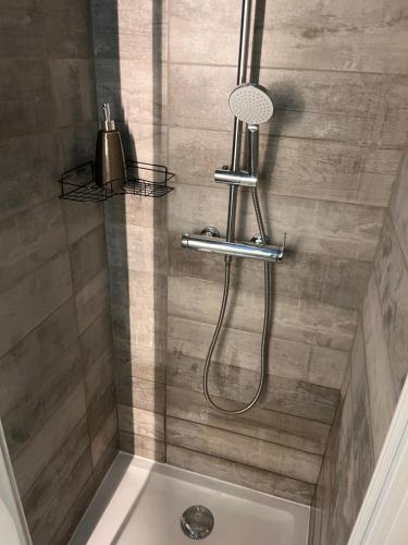 une douche avec pommeau de douche dans une salle de bain dans l'établissement Ça se passe ici, à Dijon