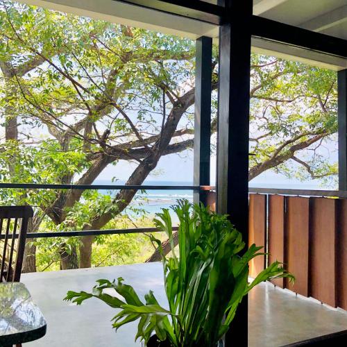 Un paisaje natural cerca de la habitación en casa particular